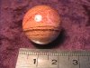 Sphere - Jasper - Snakeskin - 20mm