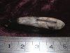 Fossil - Orthoceras - Small