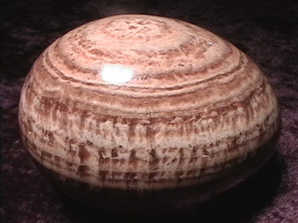 Egg - Aragonite - 60mm