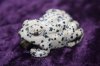 Figurine - Frog - Dalmatian Jasper - 50mm