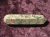 Wand - Rhyolite (Rainforest Jasper) - Point