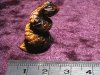 Figurine - Snake - Tiger Eye - 25mm