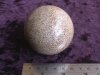 Sphere - Fossil Dinosaur Bone - 60mm