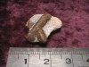 Crystal - Staurolite - 15mm