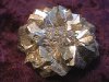 Crystal - Pyrite - Flower #907