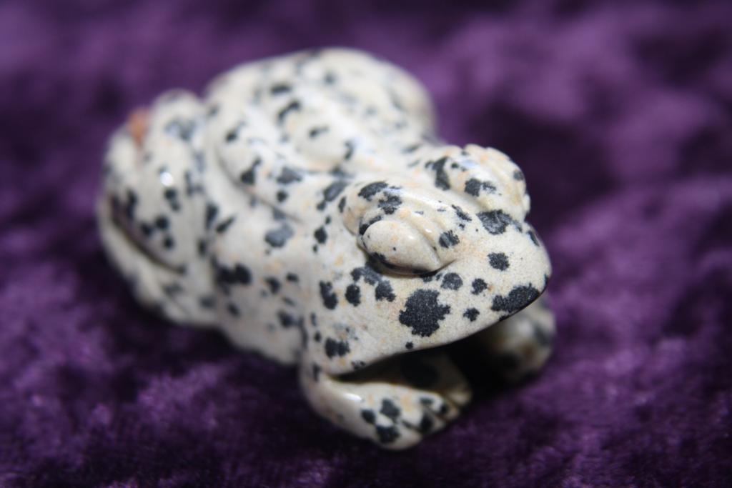 Figurine - Frog - Dalmatian Jasper - 50mm - Click Image to Close