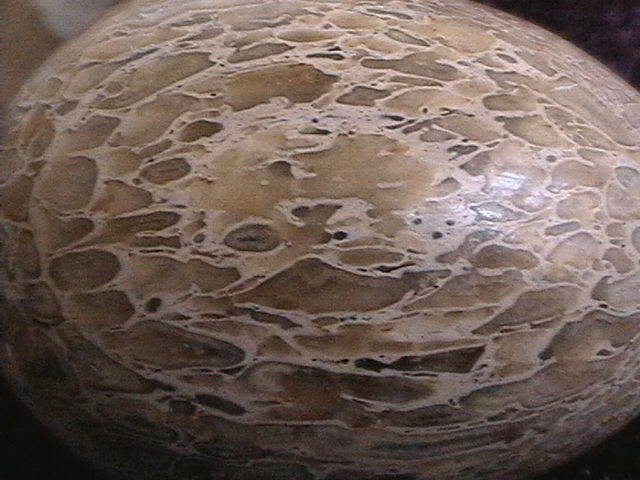 Egg - Dinosaur Bone - 60mm - Click Image to Close