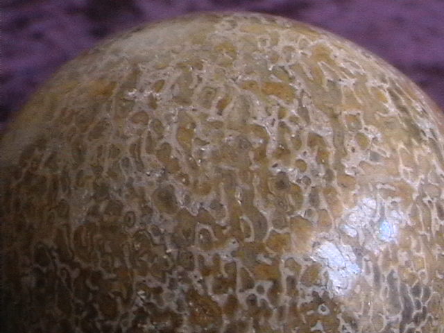Sphere - Fossil Dinosaur Bone - 60mm - Click Image to Close
